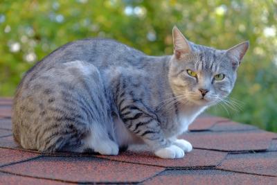 Прикрепленное изображение: DSCF5489.JPG